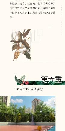 一加12已经开始预订，2月6日发货